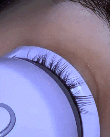 Heated Eyelash Curler